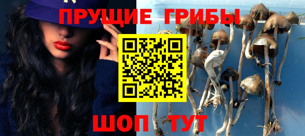 Галлюциногенные грибы мухоморы Гусев