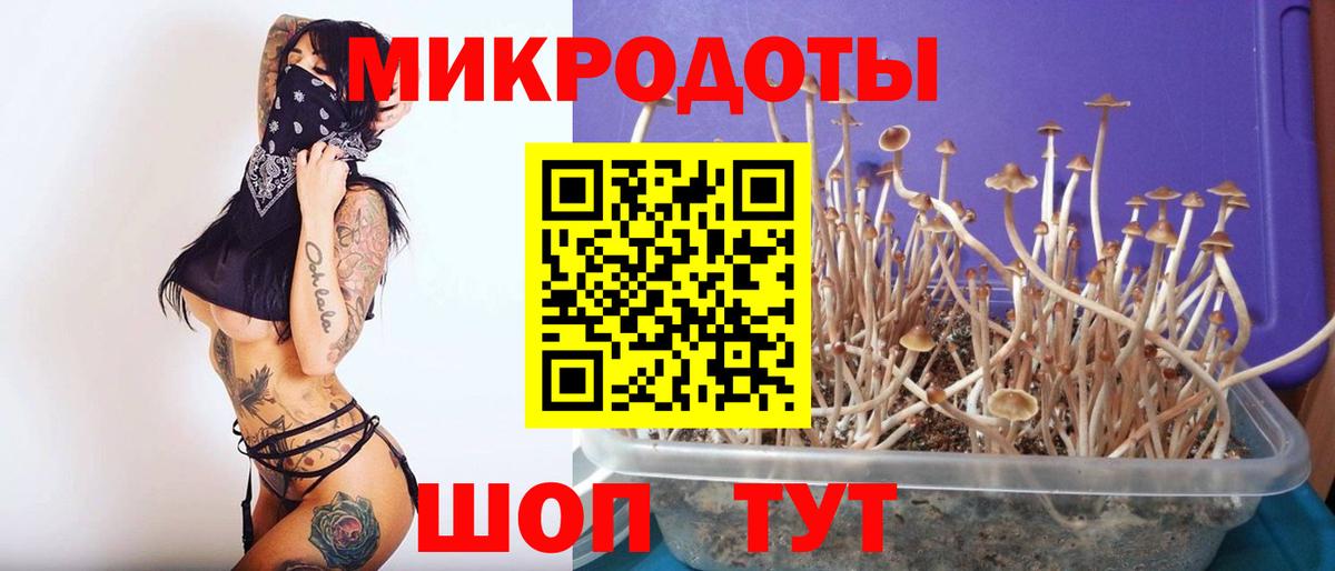 Галлюциногенные грибы GOLDEN TEACHER  Вход с VPN  Гусев 