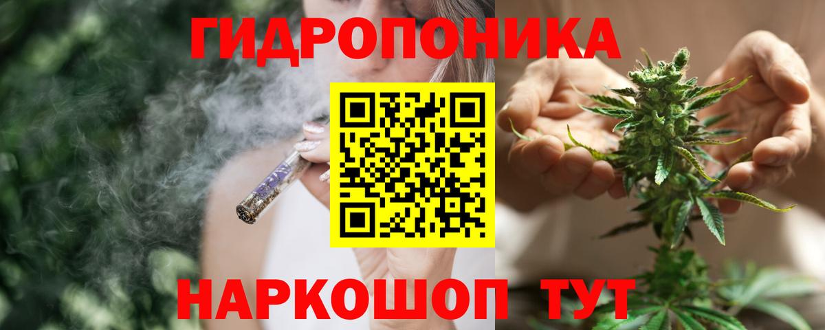 Конопля AK-47  Вход с VPN  Бошки Шишки White Widow  МАРИХУАНА ГИДРОПОН  Гусев 